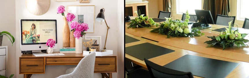 Poner plantas en el despacho