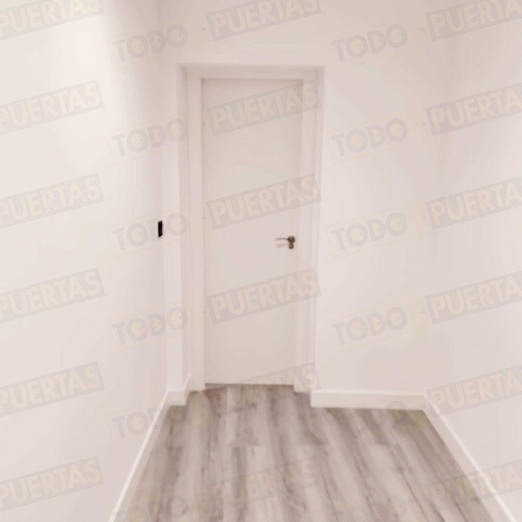 Foto Puertas Baratas en Guadalajara cliente 9