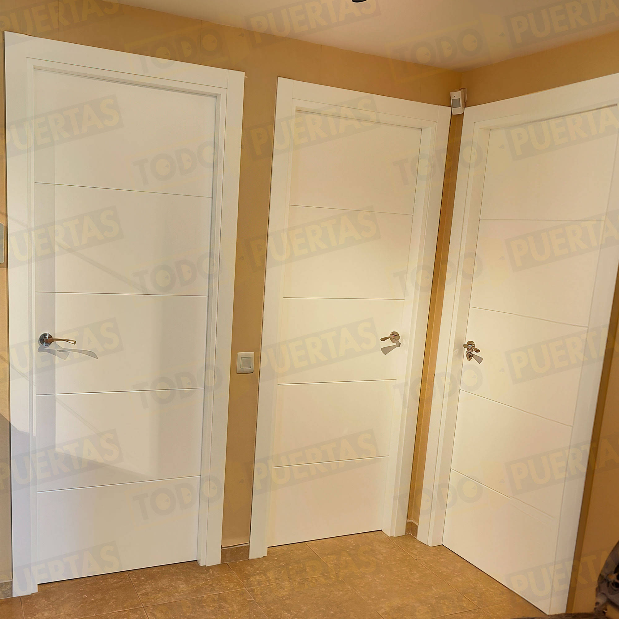 Foto Puertas Baratas en Guadalajara cliente 8