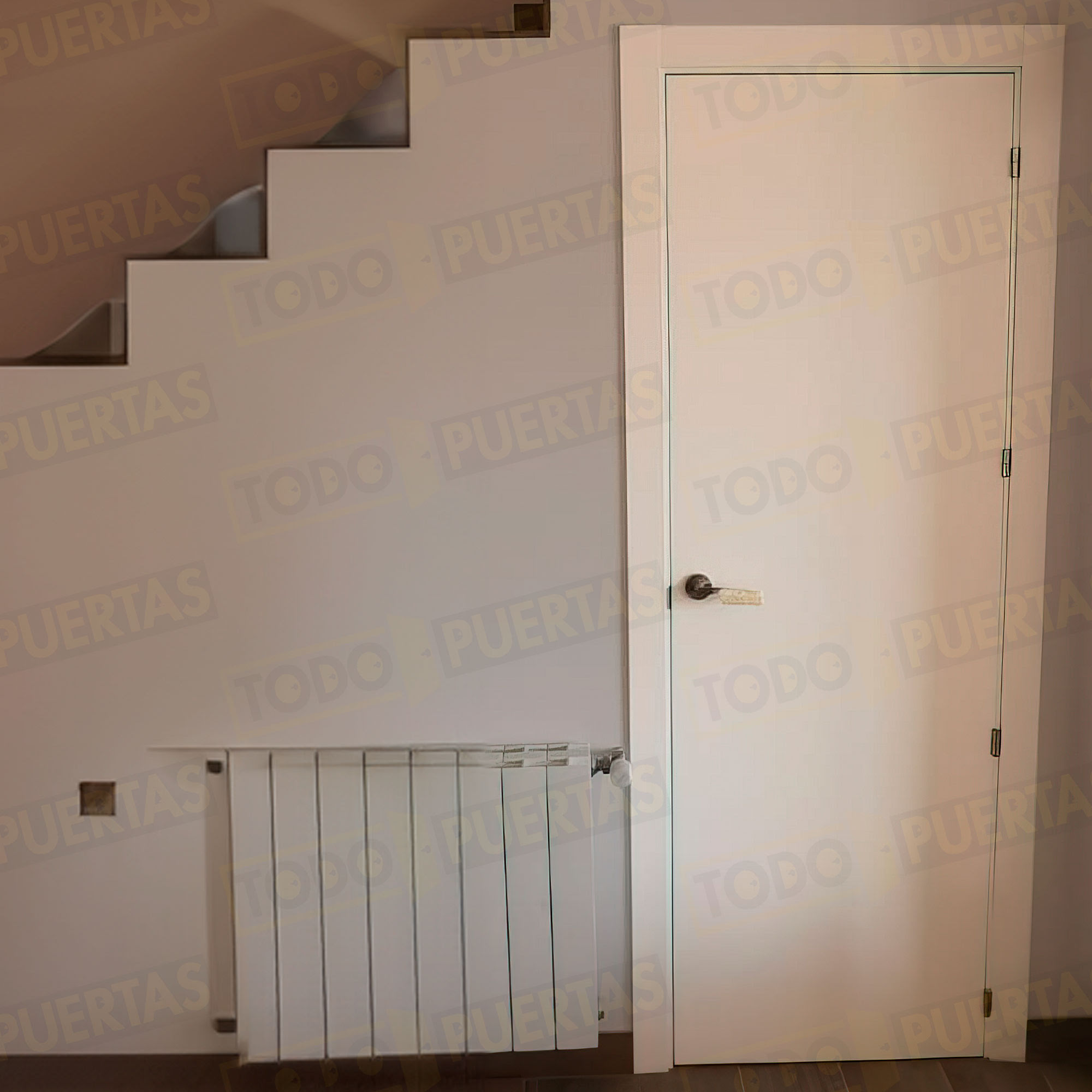 Foto Nuestros Productos cliente 117