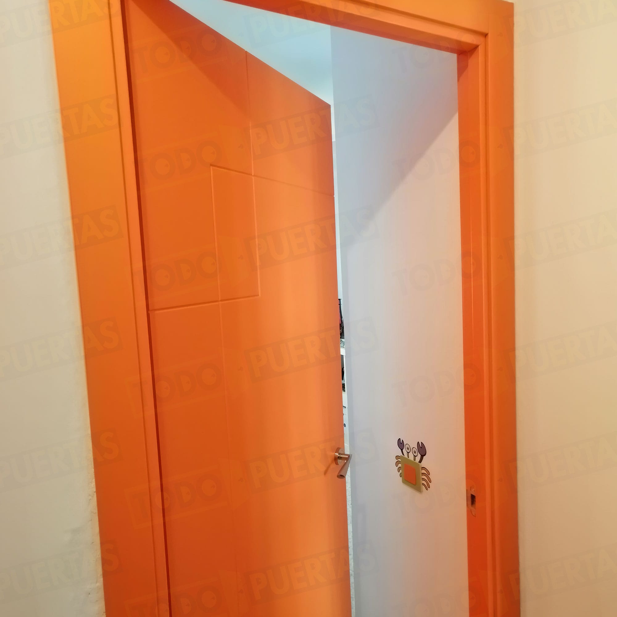 Foto Puertas Lacadas de Colores cliente 7