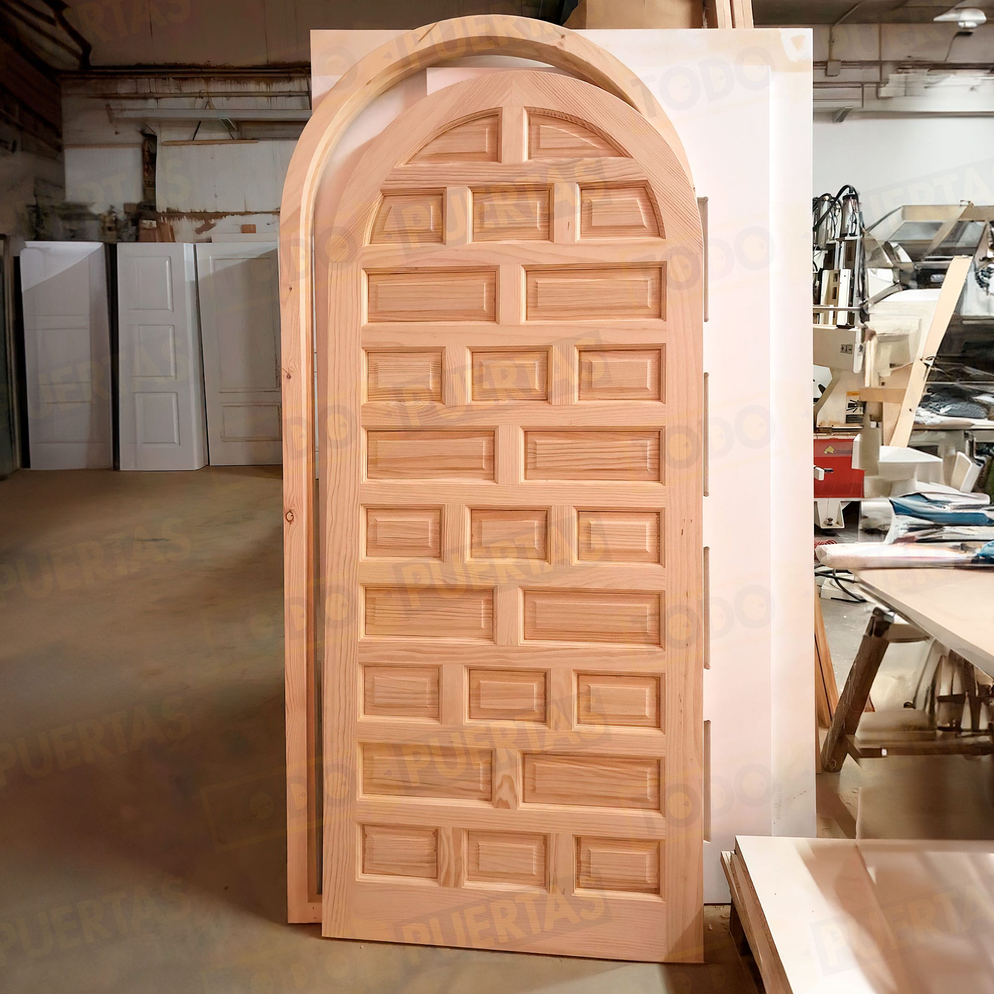 Foto Puertas de Entrada cliente 14