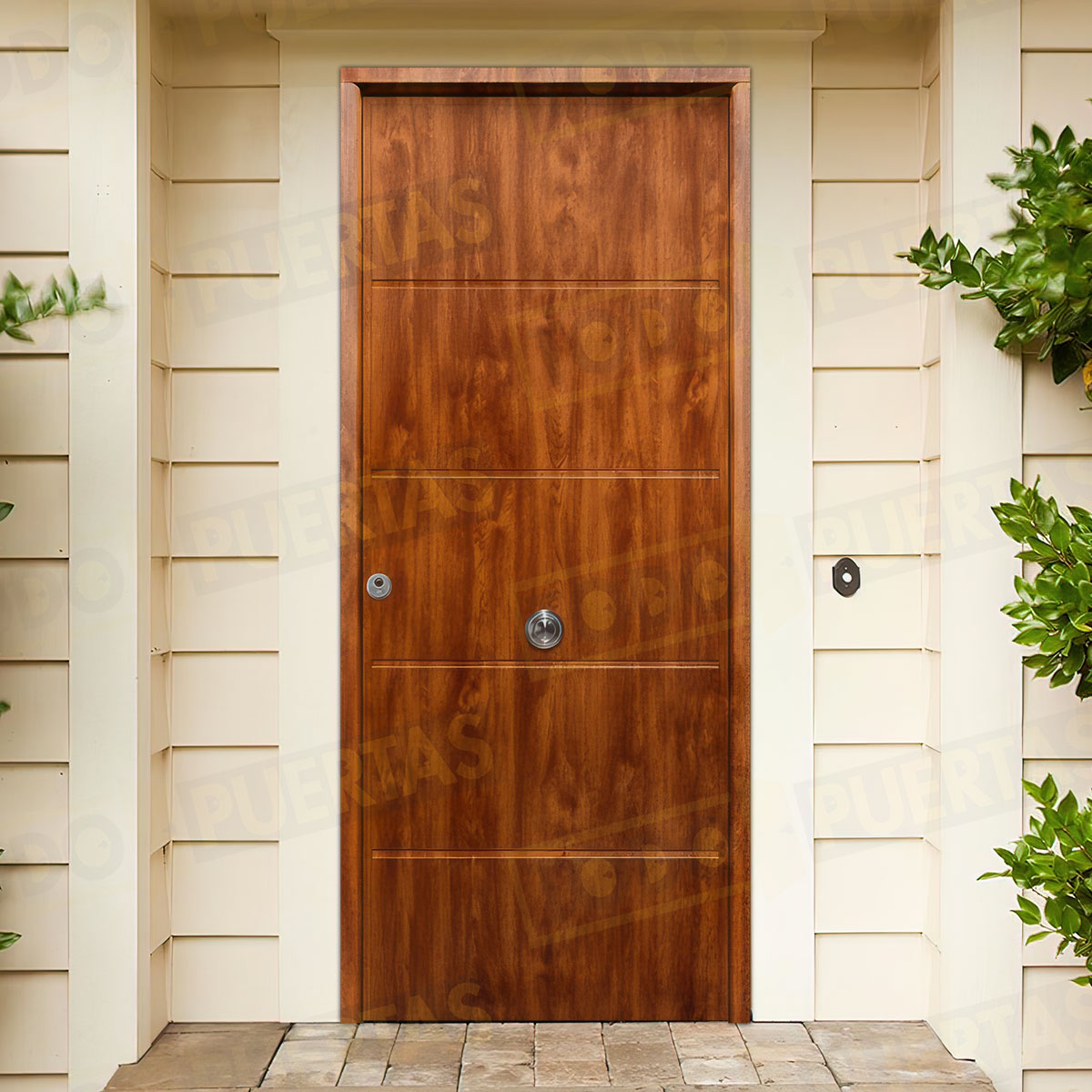 Puerta Acorazada Cintia Sagacor 100 Embero (Dos Caras Iguales)