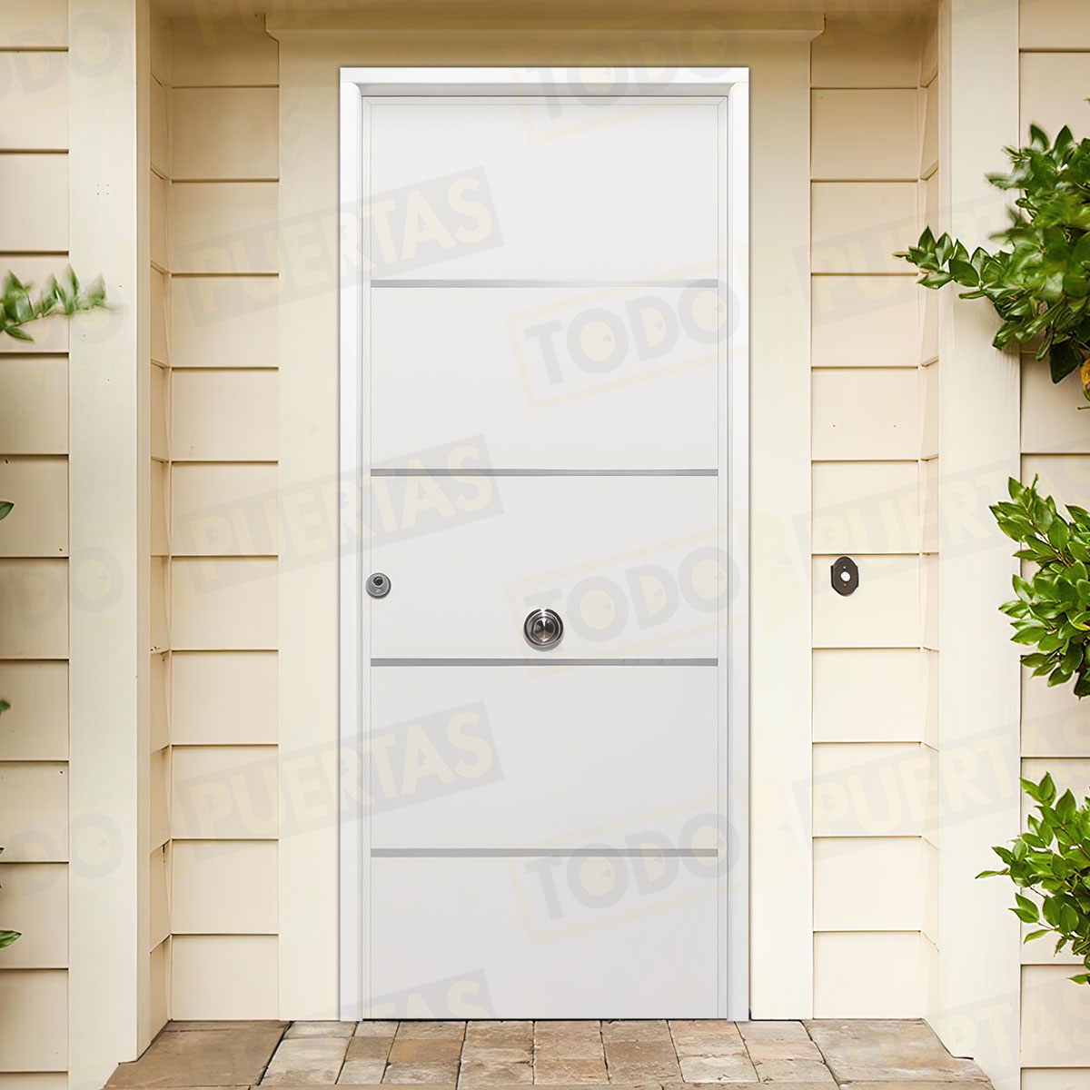 Puerta Acorazada Cintia FM Sagacor 100 Blanca (Dos Caras Iguales)