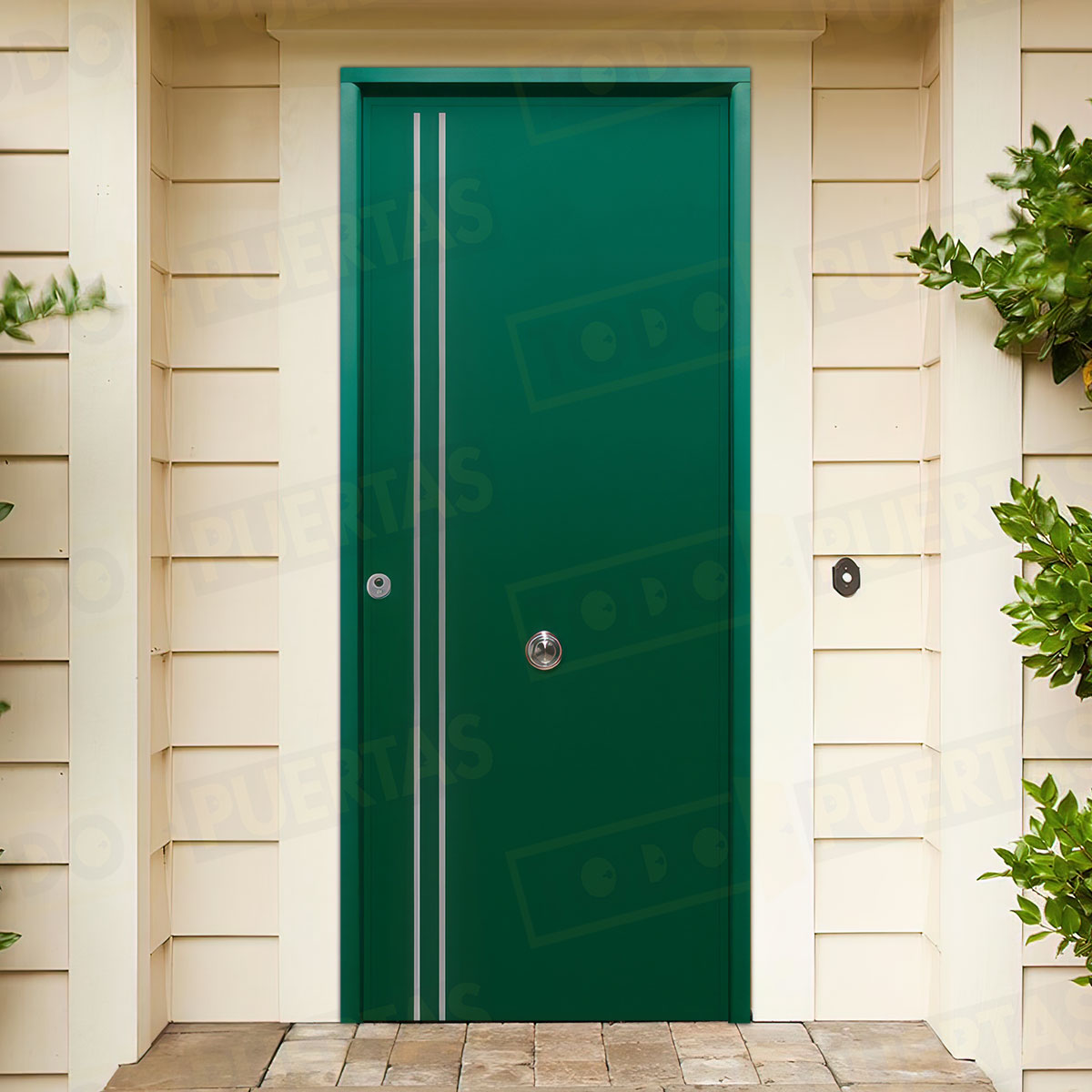 Puerta Acorazada Iris FM Sagacor 100 Verde Musgo 6005 (Dos Caras Iguales)